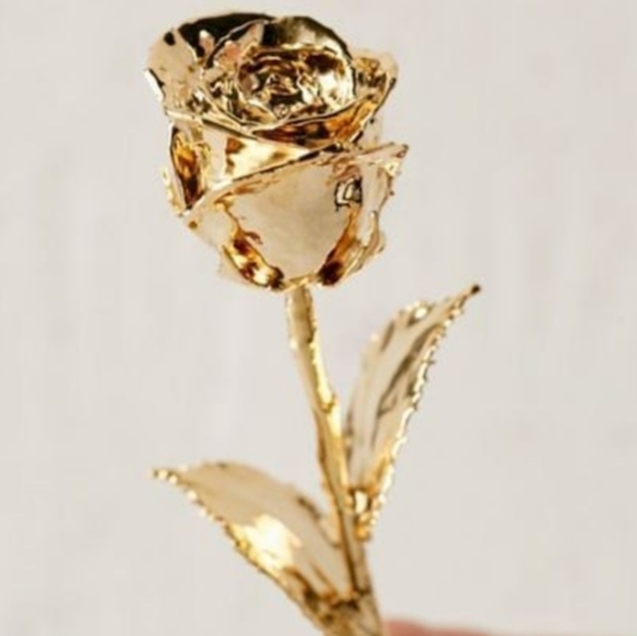 Love Picker Jewelry - 🌹 Love Picker 24k RealRose